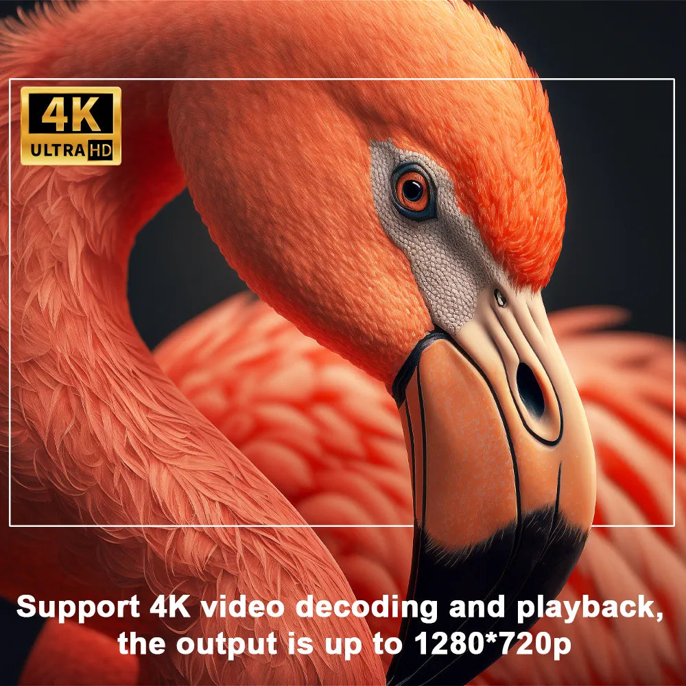 UltraVision Pro4K™ | Envided-projektor 4K